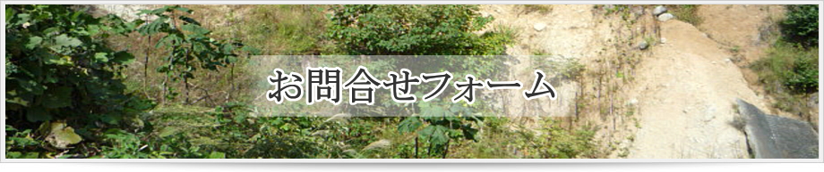 �t�W�r�V�ւ̂��⍇���t�H�[��